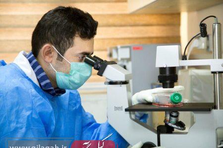 ثبت‌نام طرح سرباز نخبگی تا ۲۰ مهرماه ادامه دارد