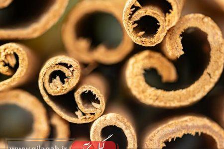 فواید و خطرات مصرف دارچین