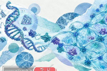 حرکت از مقیاس نانو به شبکه‌های هوشمند با هیدروژل‌های DNA–پروتئین